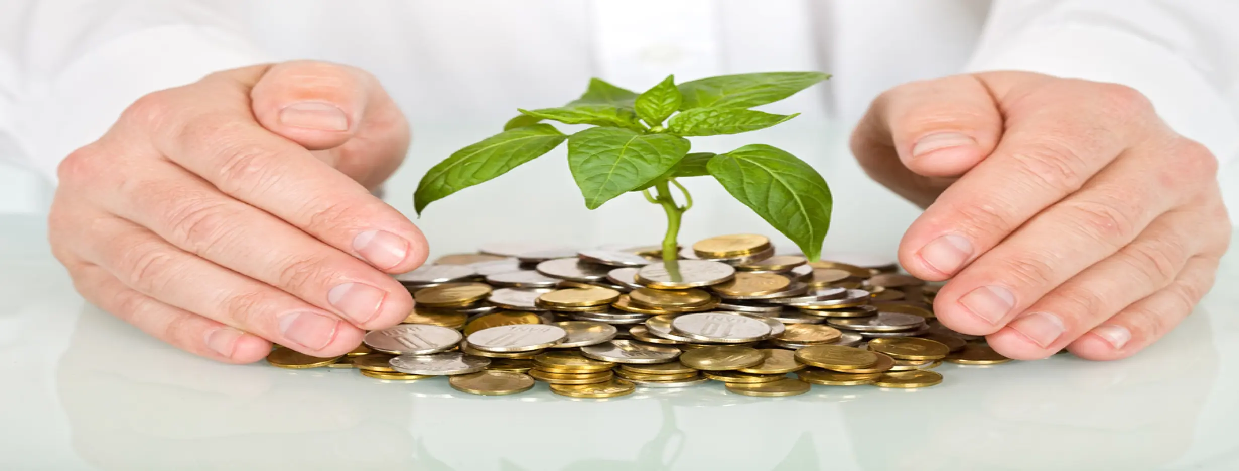 Image for Investment Security